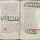 Imagen para el artículo titulado Códice Voynich: el manuscrito cifrado que nadie ha podido resolver en 600 años